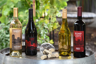 Selection of Bump City wines